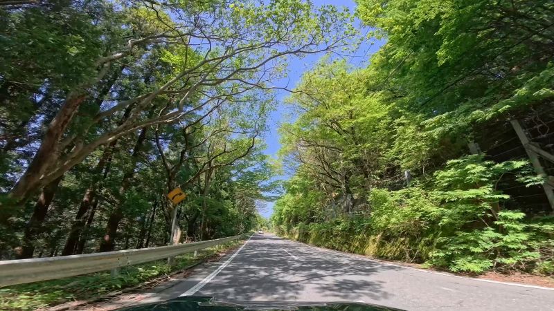遠笠山道路